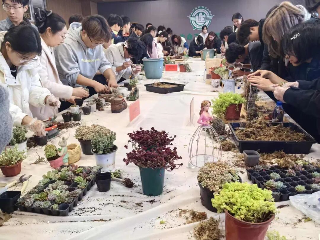 青春与创意共舞，生命与艺术交融——2025级园艺专业新生植物创意造景首秀圆满成功